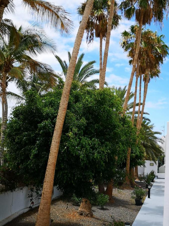 Estrella De Mar Apartment Тарахалехо Екстериор снимка